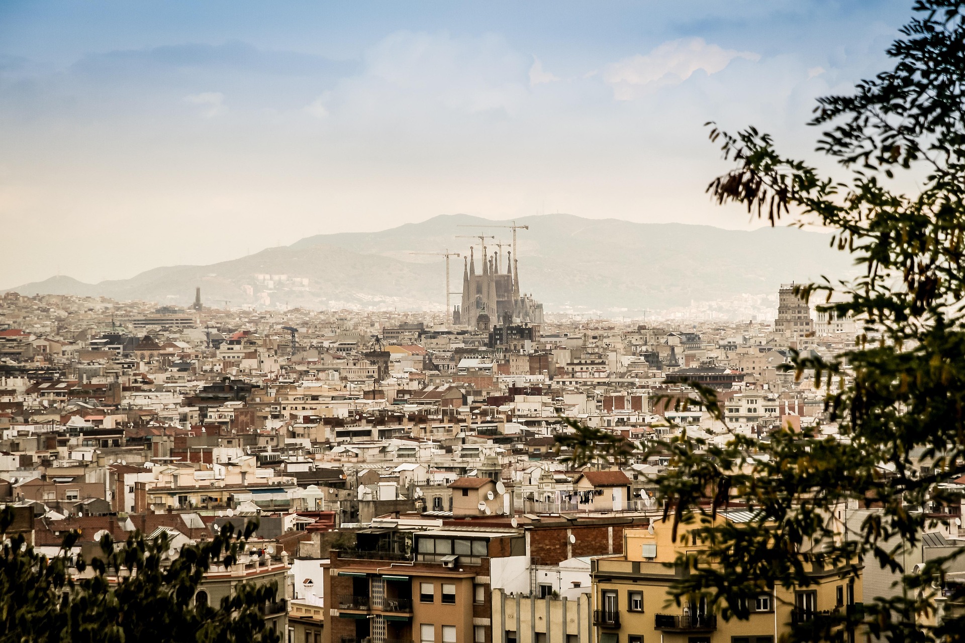 Congrès Européen de Cancérologie 2024 – Onco-dermatologie